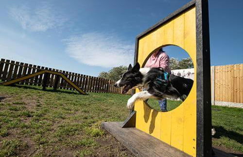 Sunset 5 - Southview Holiday Park Skegness - Foto 4