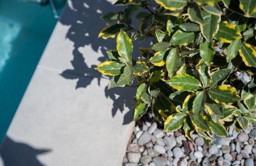 Eleagnos Villas - Foto 20