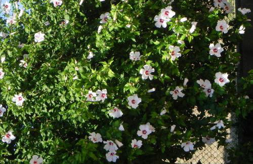 Caterina Residence - Foto 34