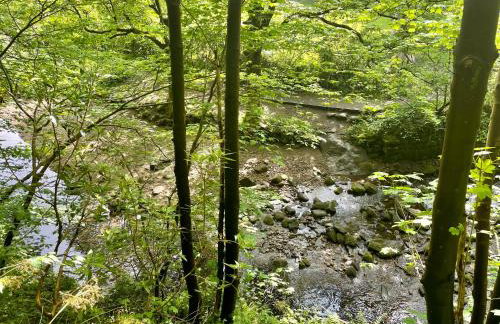 Windsor View - Foto 30