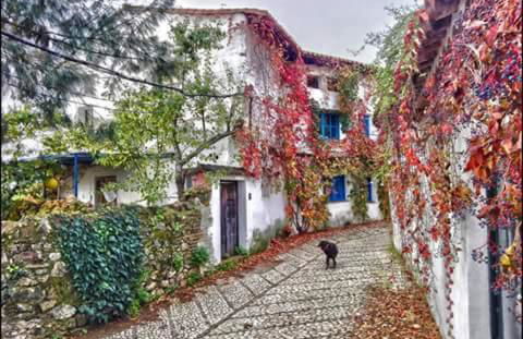 Casita Collado 3 - Foto 27