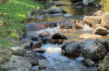 Aux trois marmottes - Chalet au pied des pistes - Foto 31