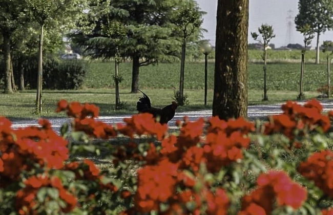 Agriturismo La Borina - Foto 71