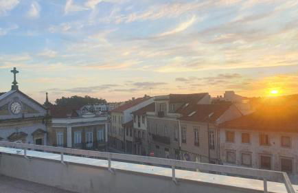 ImoWeMo OVAR - Ovarinha Girassol - Foto 25