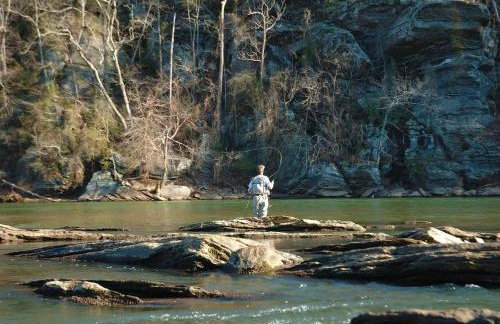 Tellico Nature Cabin - Close to Skyway & Rivers - Foto 15