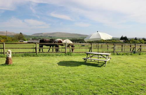 View The Gallery - Foto 16