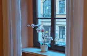 City-Ferienwohnungen-Dresden - zentral gelegen im Haus Louisenstrasse 11 - Dresden-Neustadt - Foto 67