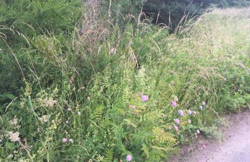 Entspannung in der schönen Lüneburger Heide - Foto 15