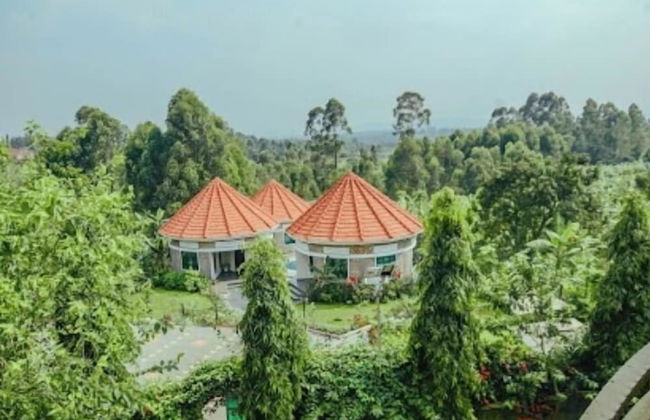 Ahaka cottages - Foto 6