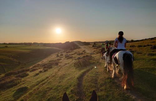 Heron's Rest - Photo 33