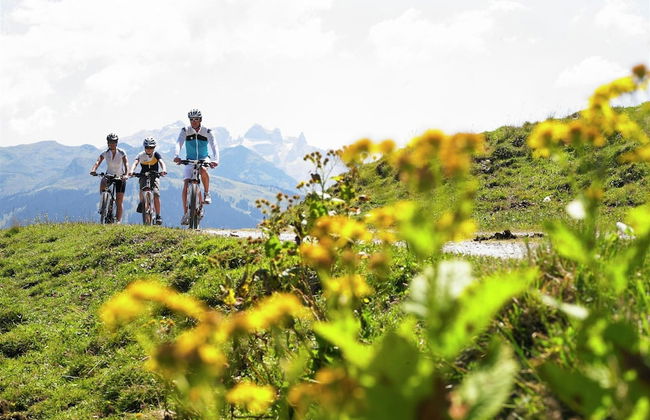 Holiday Home Near ski Resort in St. Gallenkirch - Foto 66