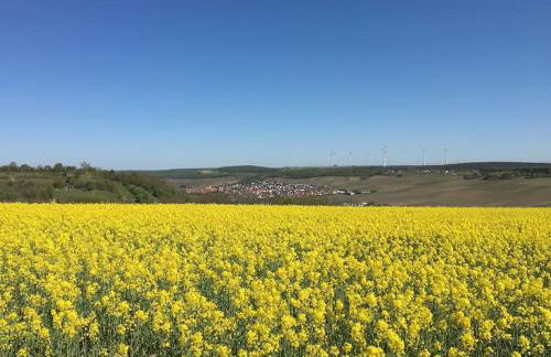 Ferienwohnung Weinbergsblick optimale Stadtnähe - Foto 20