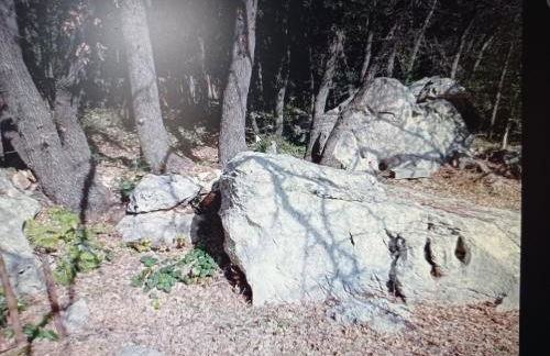 LA MAISON DE PAPOU La Vigne A NANS LES PINS 83860 - Photo 3