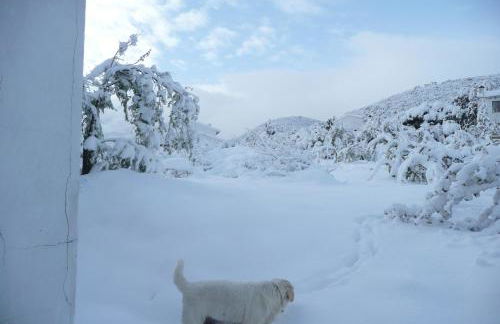 Cabañas Imagina - Foto 38