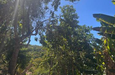 Cantinho verde - Photo 10