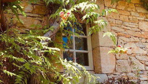 Centre Equestre Du Passe Temps - Foto 5