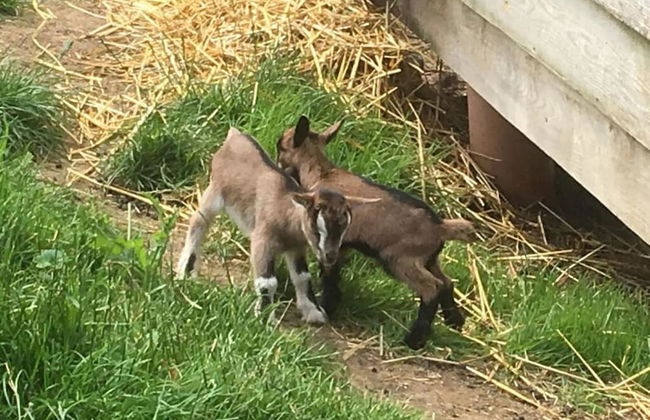 Farm in the Agerital - Foto 31