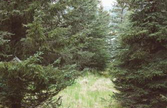 Lakeshore Lodging Apartment G - Foto 43