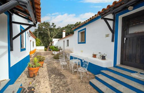 Horta Do Zé Miguel - Foto 2