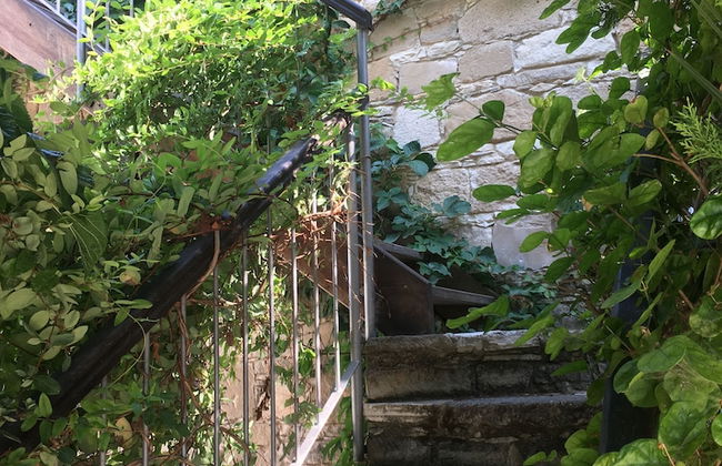 Porfyrios Country House - Foto 29