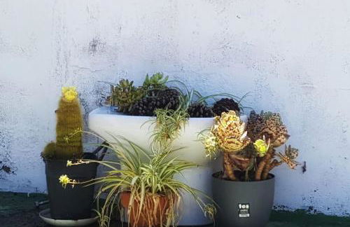 La Casita de Coco Tejeda - Foto 13