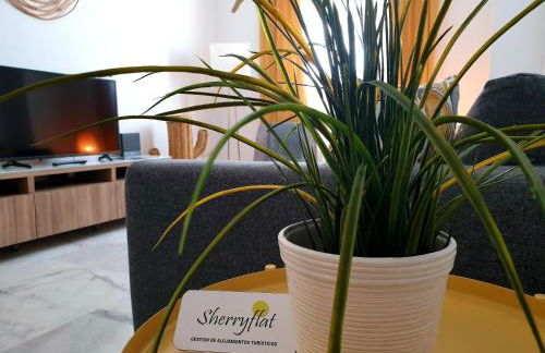 Sherryflat Paralejo 10 - Parking - Foto 13