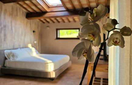 La Torre sulla via Francigena - Foto 25