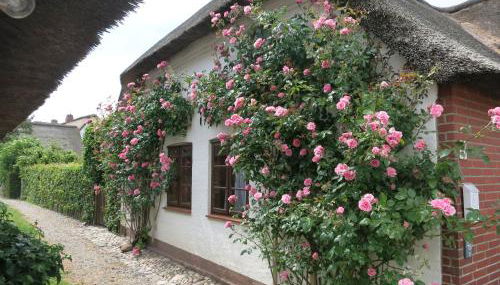 Haus-an-de-Marsch - Foto 3