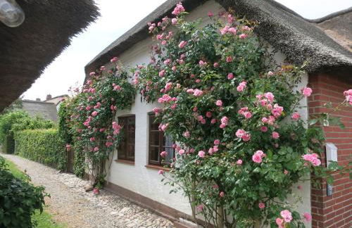 Haus-an-de-Marsch - Foto 3