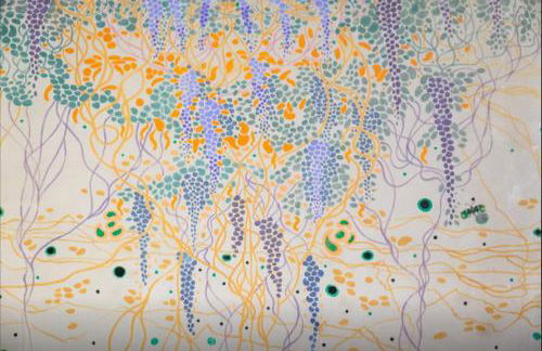 Borgo Ponte dell'Asse - Foto 19