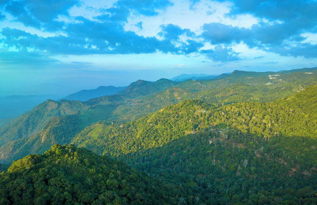 amã Stays & Trails Anjanagiri, Kotagiri - Photo 9