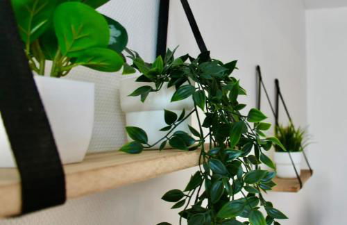 LE LOGIS DE L'ARQUEBUSE GARE, Centre ville et Cité Gastronomique - Foto 8