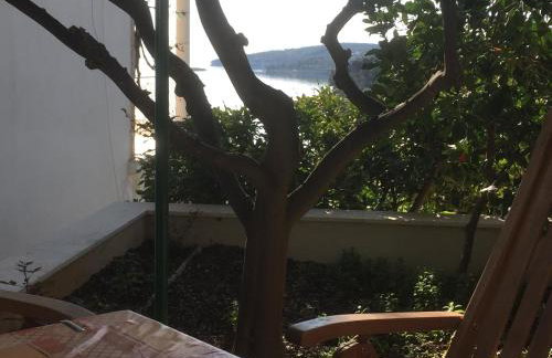 Apartments Danijela - Foto 8