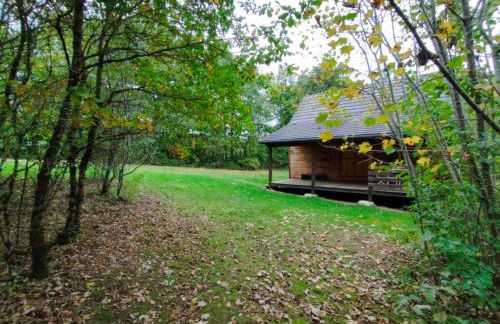 Gîte Chalet Morvan Bourgogne - Foto 11