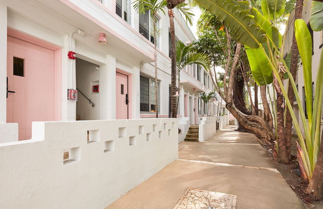 Pantera Rosa - Foto 29