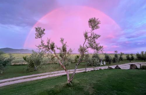 Casa Daniele - Foto 2