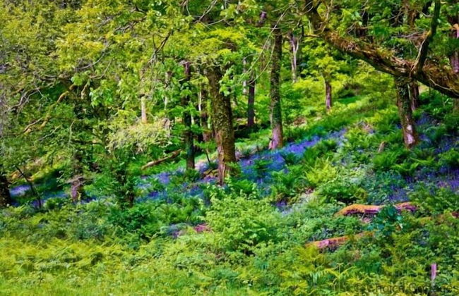 Monkleigh Coachmans Cottage 1 Bedroom - Foto 2