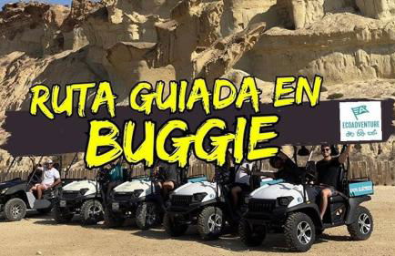 Studio with pool and sunrise view at 10 min beach walk - Foto 42