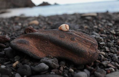 Casa L&M - Refúgio com Horta Biológica Certificada - Foto 24