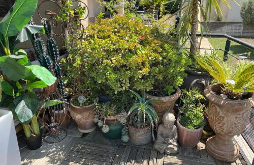Appart, vue mer exceptionnelle à sanary, à pied 10mn criques et plage - Foto 20