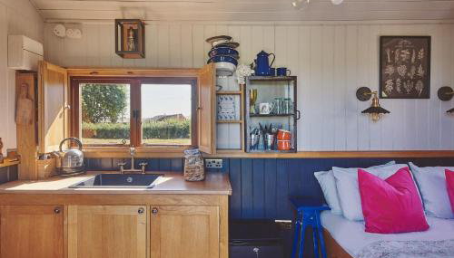 Curious Calf - Foto 5