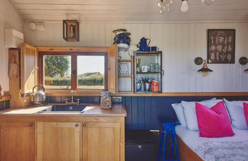 Curious Calf - Foto 5