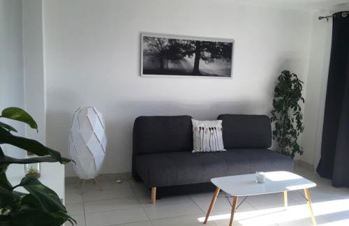 T2 Saint martin d'heres proche Campus - Foto 1