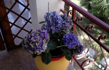 L'Isola che non c'è - Foto 37