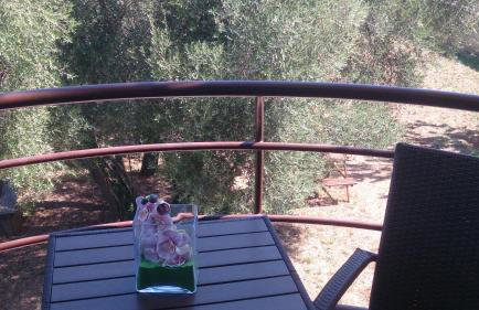 Apartments Juretic - Photo 40