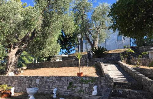 VILLA PINETA VISTA MARE - Foto 67