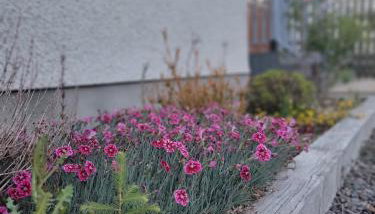 'Wee Smiddy' Shepherd's Hut - Sauna - Yoga - Wild Swim - Foto 4