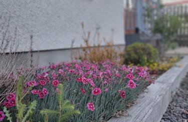 'Wee Smiddy' Shepherd's Hut - Sauna - Yoga - Wild Swim - Foto 4