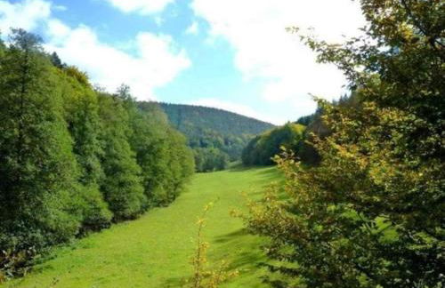 Quaint Apartment in Hüttenthal with Garden - Foto 66