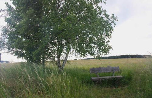 Harzhaus Drei Hexen - Foto 63